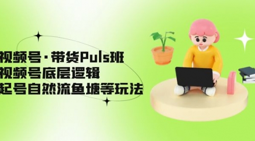 视频号·带货Puls班，视频号底层逻辑，起号自然流鱼塘等玩法