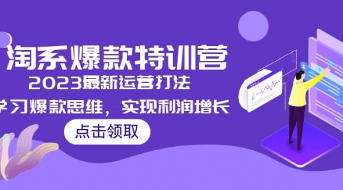 2023淘系爆款特训营最新运营打法，学习爆款思维，实现利润增长