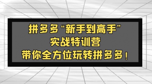 拼多多“新手到高手”实战特训营：带你全方位玩转拼多多！