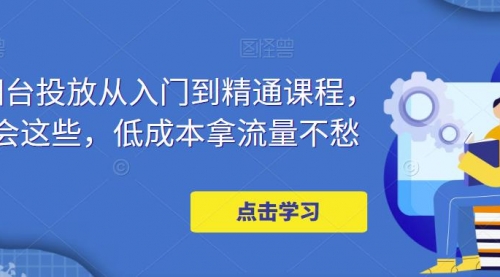 万相台投放 新手到精通课程，学会这些，低成本拿流量不愁！